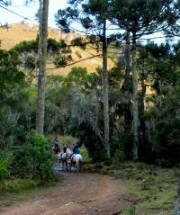 tags: serra gaúcha,cavalgada,brasil,natureza,pinheiros,araucaria

Cambará do Sul - RS, Brasil